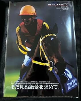 【ヒーロー列伝】クリアファイル80種／No.81まで／JRA(非売品) Amazon.co.jp: ゼンノロブロイ JRAヒーロー列伝コレクション A4